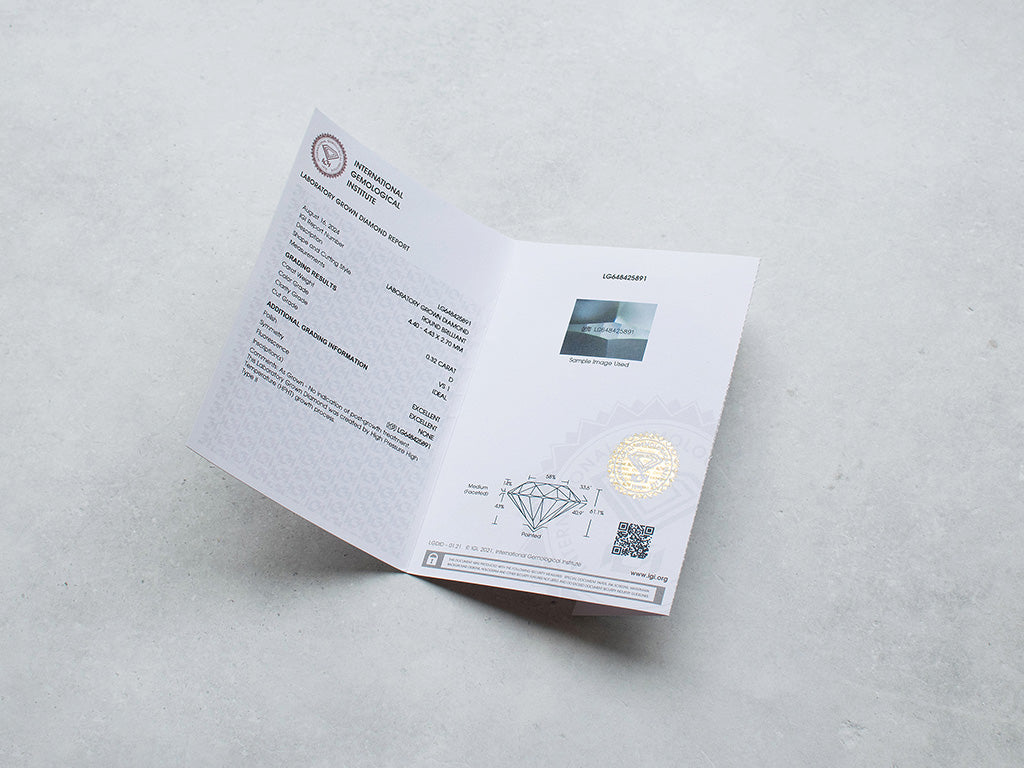 《ホワイトダイヤモンド》を育てて《シャンパンゴールドリング》にお仕立てする