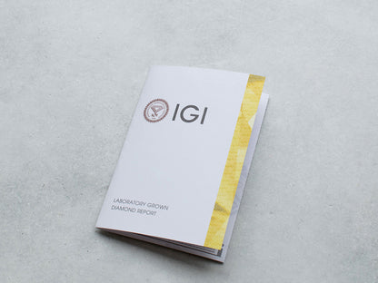 《ホワイトダイヤモンド》を育てて《シャンパンゴールドリング》にお仕立てする