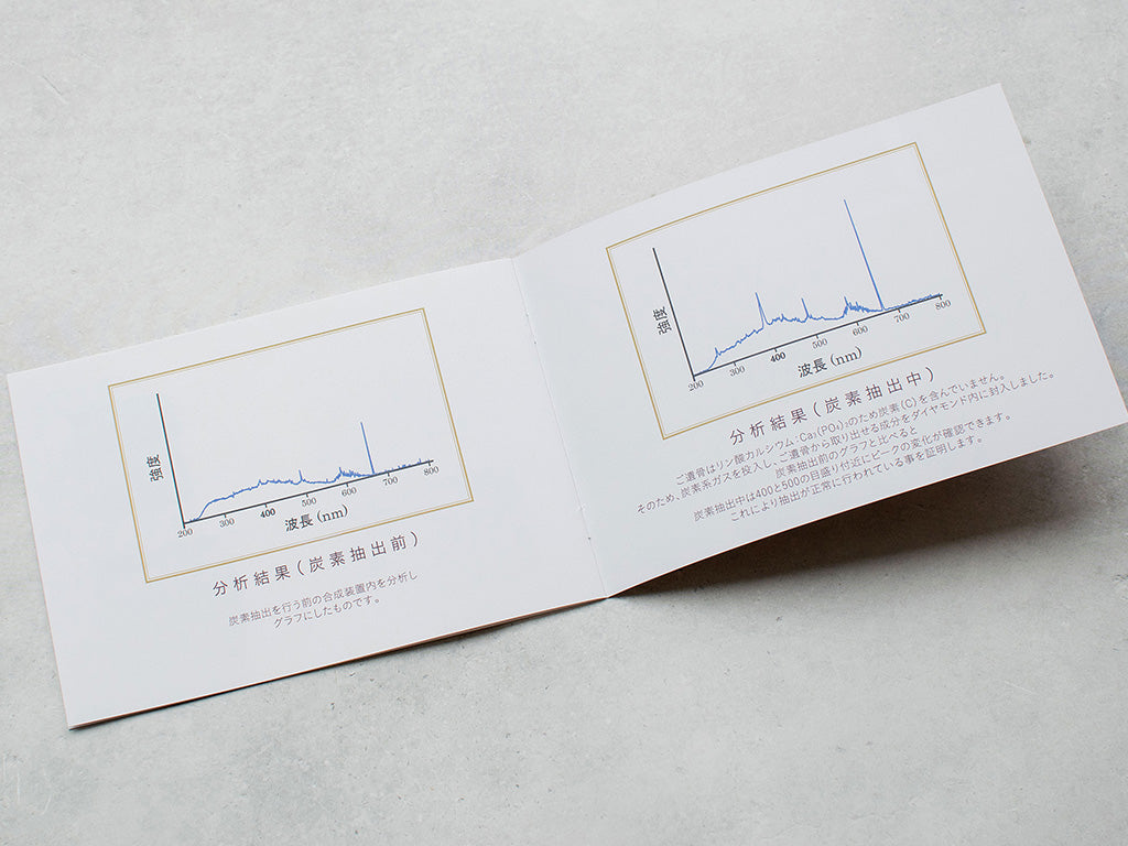 《ホワイトダイヤモンド》を育てて《シャンパンゴールドリング》にお仕立てする