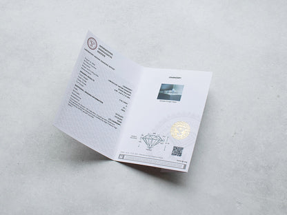 《ホワイトダイヤモンド》を育てて《シャンパンゴールドリング》にお仕立てする