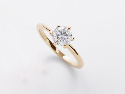 《ホワイトダイヤモンド》を育てて《シャンパンゴールドリング》にお仕立てする